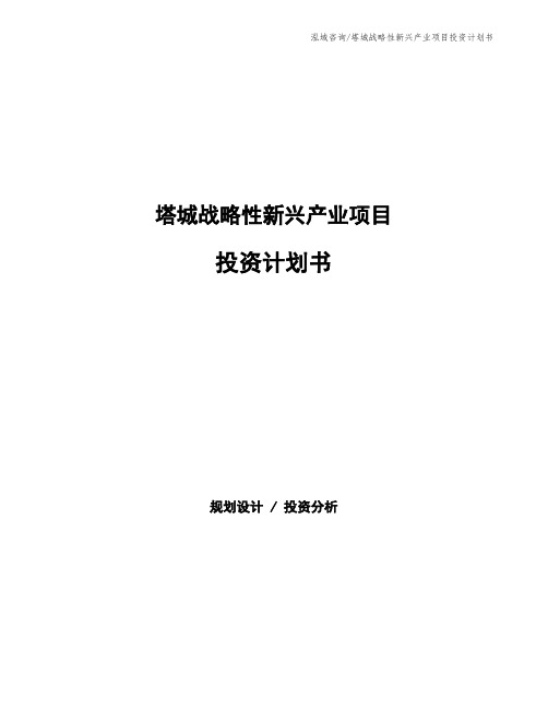 塔城战略性新兴产业项目投资计划书