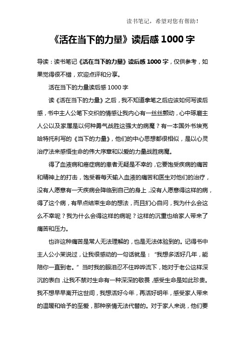 《活在当下的力量》读后感1000字