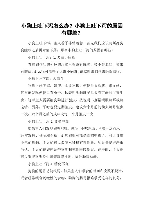 小狗上吐下泻怎么办？小狗上吐下泻的原因有哪些？