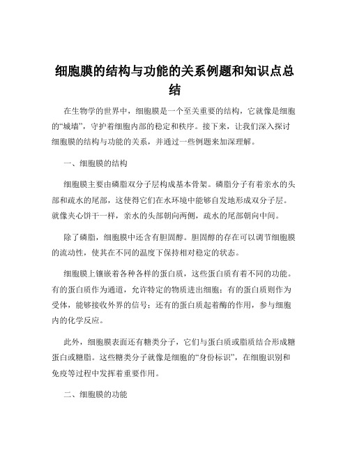 细胞膜的结构与功能的关系例题和知识点总结