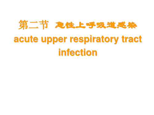 上呼吸道感染PPT课件