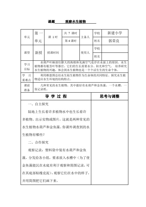 课题    4、  观察水生植物