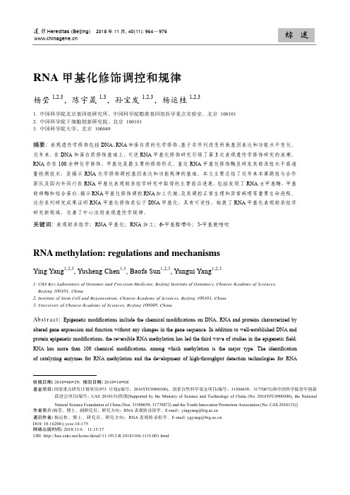 RNA甲基化修饰调控和规律