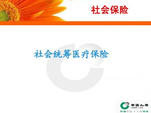 社会医疗保险 (NXPowerLite)