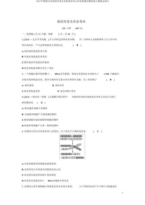 高中生物第五章基因突变及其他变异单元评估检测含解析新人教版必修2