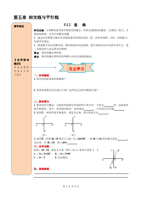 人教版七年级(数学)下册5.1.2 垂线