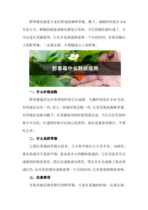 野草莓什么时候成熟