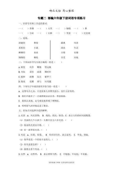 部编人教版(统编版)六年级下册小学语文 期末复习 词语专项