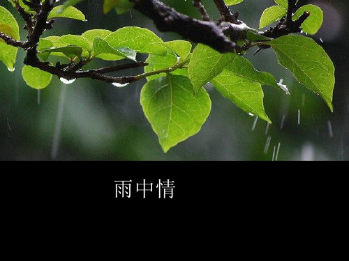 人美版小学一年级下册美术：雨中情_课件1