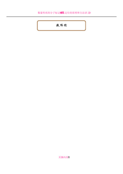 数阵图
