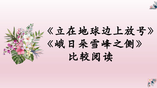 2.《立在地球边上放号》《峨日朵雪峰之侧》课件+2024-2025学年统编版高中语文必修上册