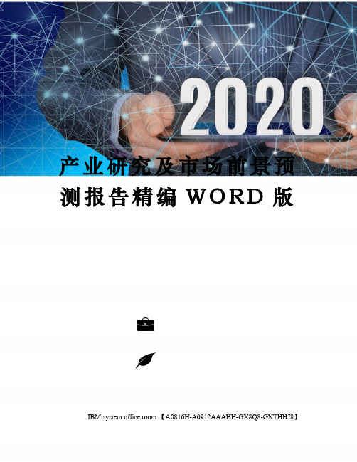 产业研究及市场前景预测报告定稿版