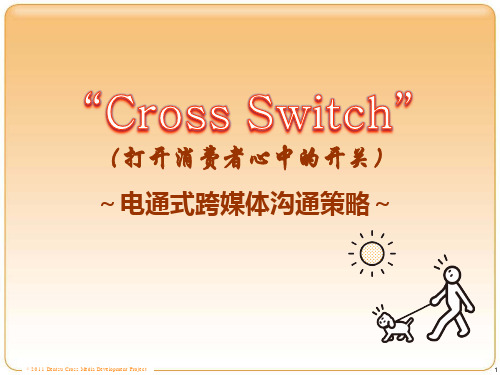 CrossSwitch