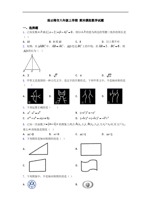 连云港市八年级上学期 期末模拟数学试题