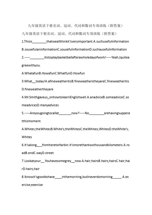 九年级英语下册名词、冠词、代词和数词专项训练(附答案)