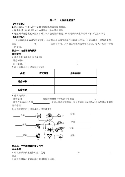 济南版七年级生物下册3.5.1人体的激素调节学案