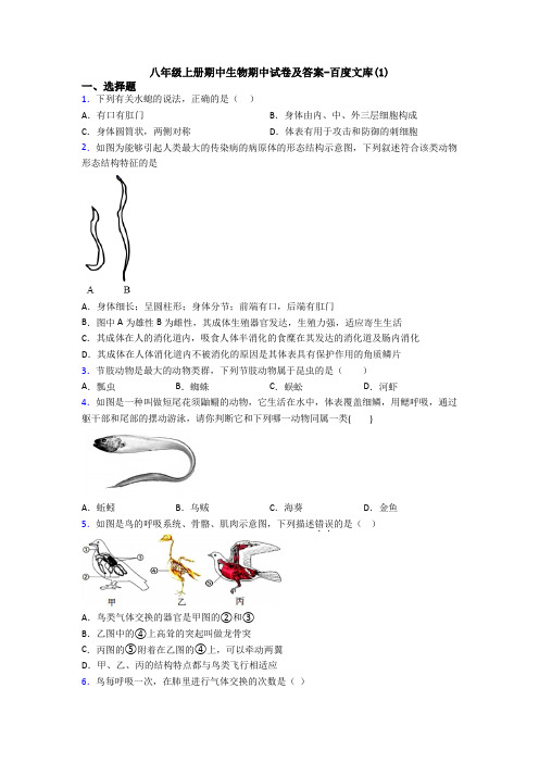 八年级上册期中生物期中试卷及答案-百度文库(1)