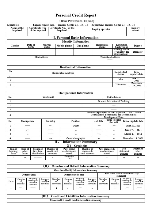 个人信用报告(英文模板)