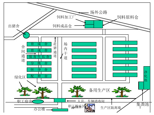 各大猪场平面设计图ppt课件