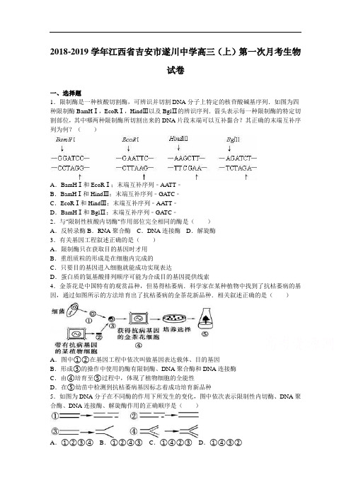 江西省吉安市遂川中学2018-2019学年高三上学期第一次月考生物试卷 Word版含解析