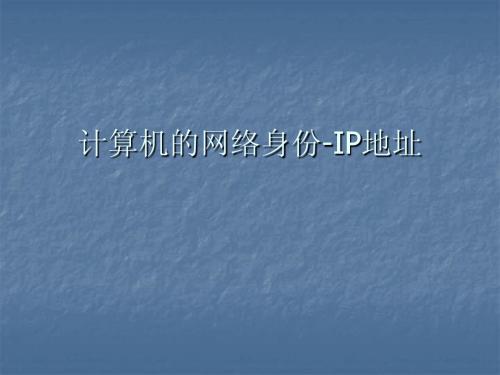 IP课件：计算机的网络身份