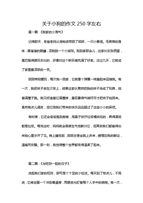 关于小狗的作文250字左右