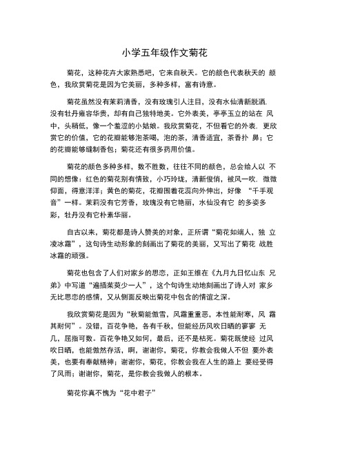 小学五年级作文菊花