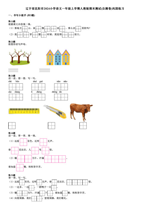 辽宁省沈阳市2024小学语文一年级上学期人教版期末测试(自测卷)巩固练习