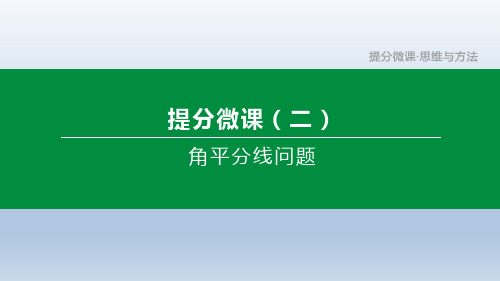 中考数学复习方案  提分微课(02) 角平分线问题