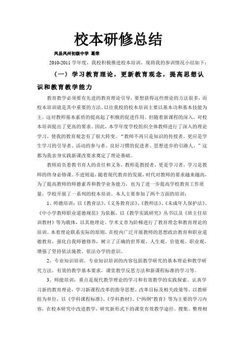 阳光师训校本研修总结