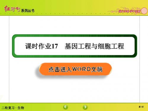 2019年高考红对勾高中生物二轮复习资料课时作业17