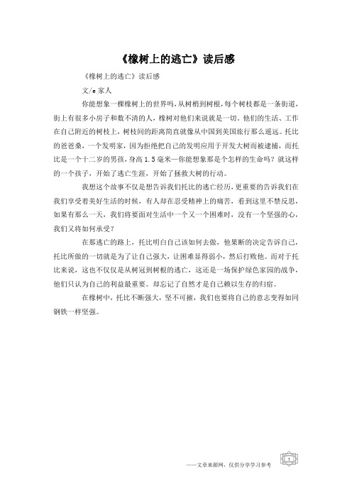 《橡树上的逃亡》读后感