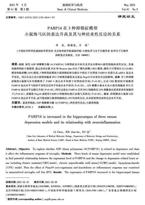 PARP14在3种抑郁症模型小鼠海马区的表达升高及其与神经炎性反应的关系