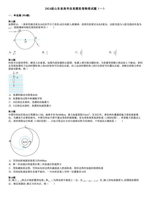 2024届山东省高考仿真模拟卷物理试题(一)