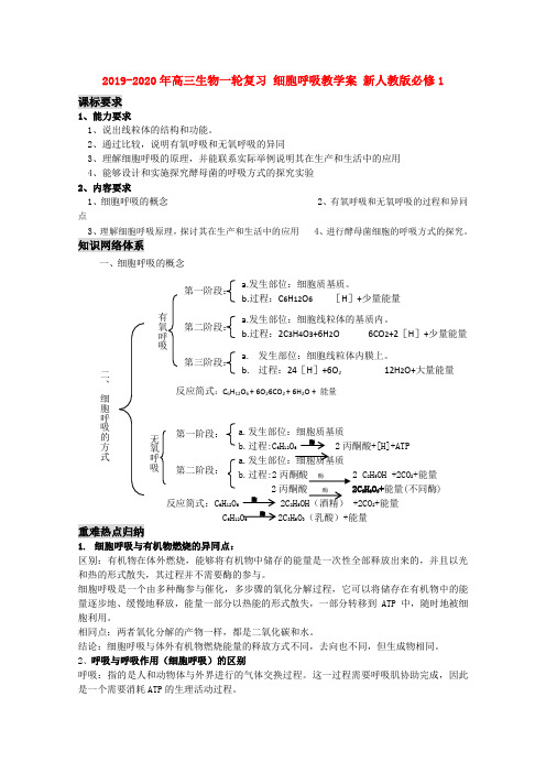 2019-2020年高三生物一轮复习 细胞呼吸教学案 新人教版必修1