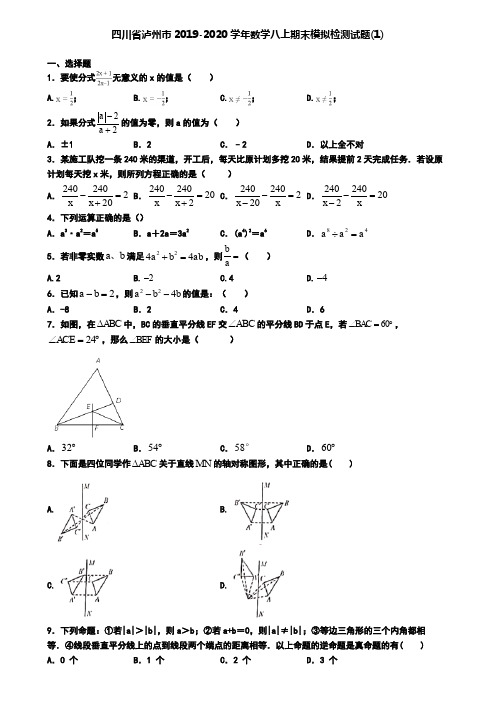 四川省泸州市2019-2020学年数学八上期末模拟检测试题(1)