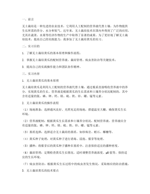 无土栽培黄瓜实习报告