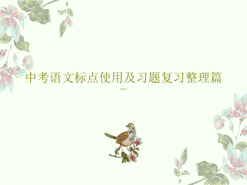 中考语文标点使用及习题复习整理篇共28页文档