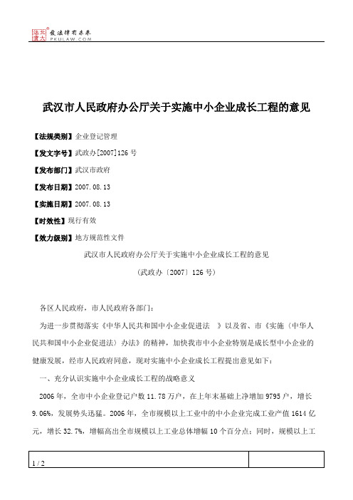 武汉市人民政府办公厅关于实施中小企业成长工程的意见