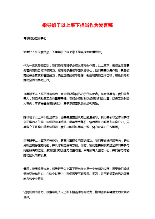 指导班子以上率下担当作为发言稿