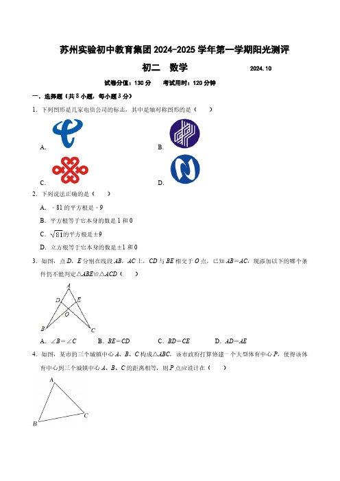 江苏省苏州市实验初中集团2024-2025学年八年级上学期十月月考数学试卷(含答案)