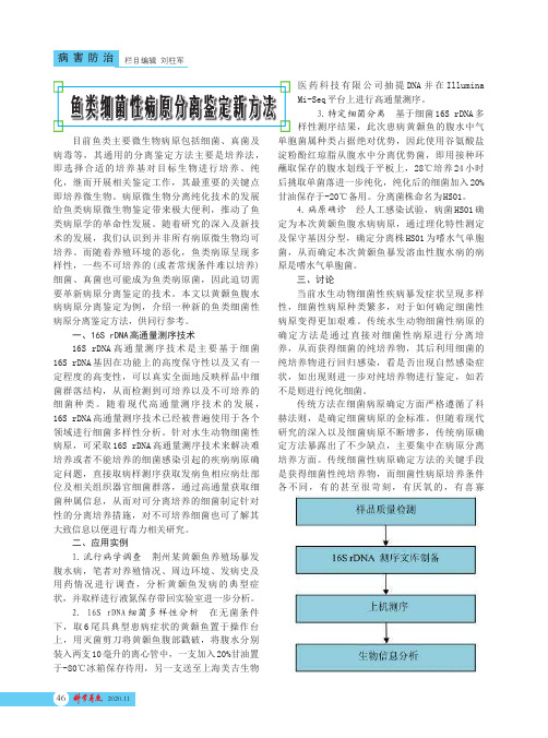 鱼类细菌性病原分离鉴定新方法