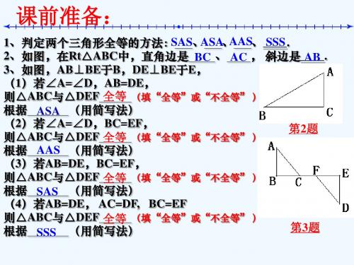 孙攀登14.5直角三角形全等的判定HL公开课