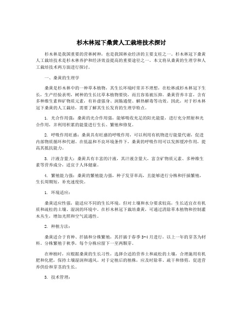 杉木林冠下桑黄人工栽培技术探讨