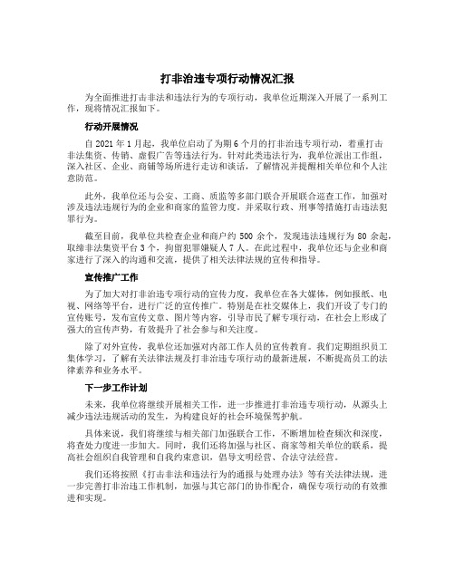 打非治违专项行动情况汇报