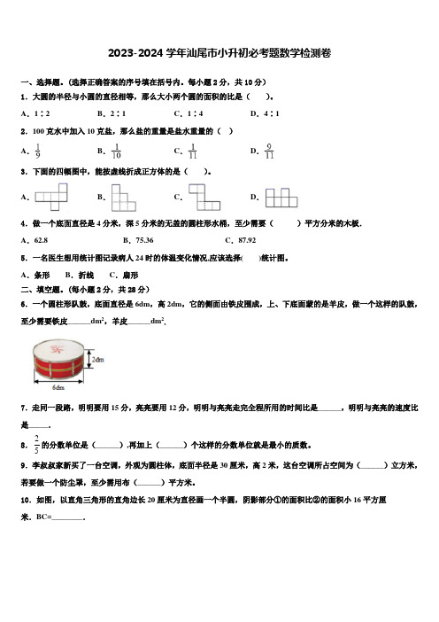 2023-2024学年汕尾市小升初必考题数学检测卷含解析