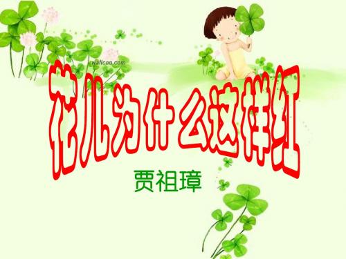 2011年江苏地区语文学科苏教版八年级下册第15课《花儿为什么这样红》课件(苏教版)