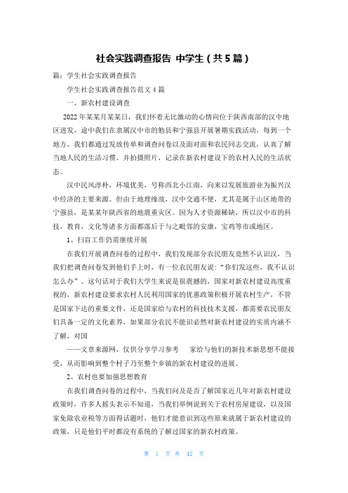 社会实践调查报告 中学生(共5篇)
