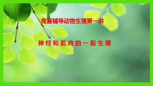 神经细胞的生物电现象(竞赛辅导)