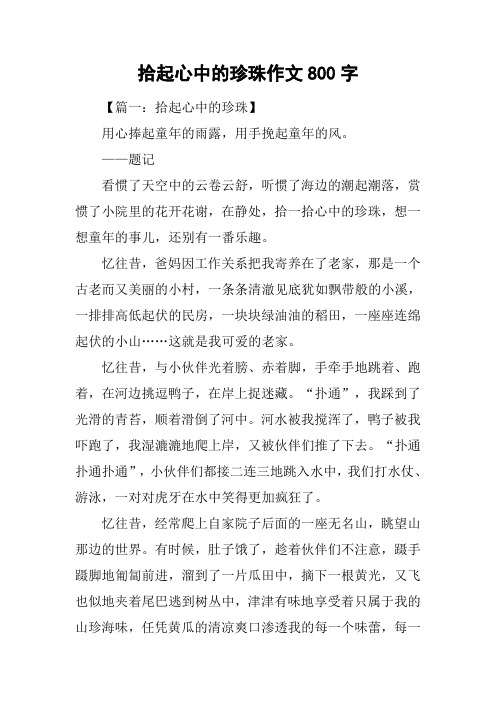 拾起心中的珍珠作文800字